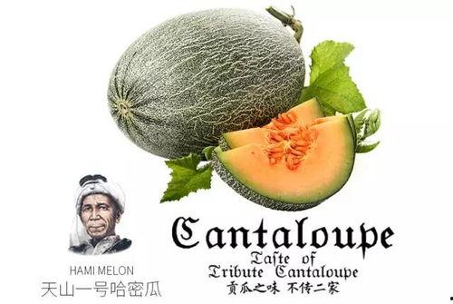 娱乐吃瓜群众1号,娱乐圈幕后那些事儿